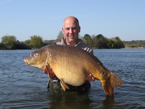 XL Carp Video