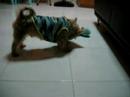 My Raffy Buddy (Part 2)