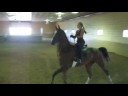 I am riding American Saddlebred Too Many Secrets aka buddy I am riding American Saddlebred Too Many Secrets aka buddy