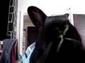 videos de Scrountch cronch miom miam slurp !