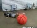Funny ball to face compilation