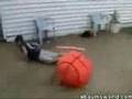 Funny ball to face compilation