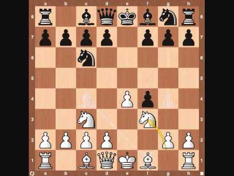 chess chess