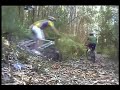Jump Over Fun (MTB) Jump Over Fun (MTB)