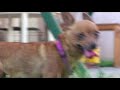 proxnationfilms: Sony HDR-HC7 TEST