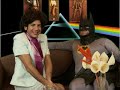 PATRULLANDO CON BATMAN PATRULLANDO CON BATMAN