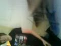 Willy �ger Oscar