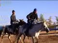 Riding ponies and Mongolian wrestling - Tribe - BBC