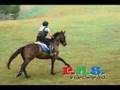 groton House 2 2008 Training Cross Country HORSE JUMPING