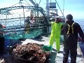 Snow Crab fishing part 2 Snow Crab fishing part 2