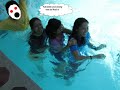 misty pearl fabro misty pearl fabro