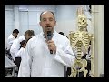 o que é anatomia ??