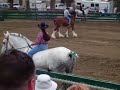My First Bareback Class My First Bareback Class