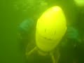 dive scooter dpv
