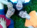 trifoglio