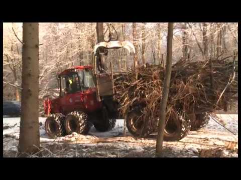 Ausbau des Radweges entlang der B 104: Bume mssen w ...