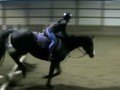 myhorsesaremylife,kabamitsrevol,horses