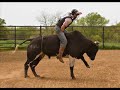 Bull Riding at Frick\ Bull Riding at Frick\