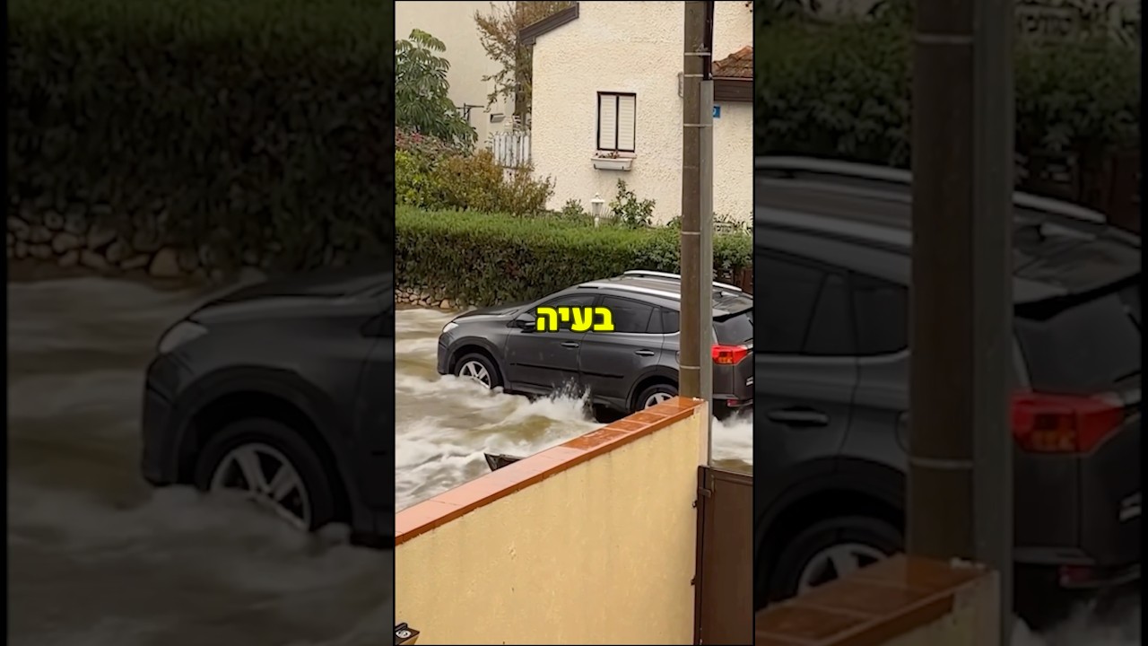 אחלה שולמן🤣