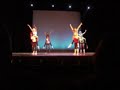 SDP 2008: Fallangies