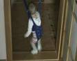 Rebeka skace - Rebeka's jumping