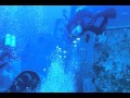 View Video
