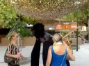 Ibiza - The Zoo Project - Video 2