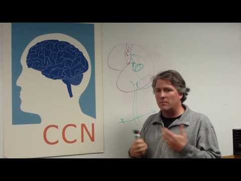 NEUROSCI 507/BME 517 Neuronal Control of Movement course intro