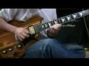 Vintage B.C.Rich Seagull2 \