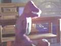 videos de Evil Barney (2)