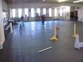 videos de Addie at Flyball Practice