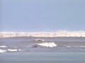 tsunami.html