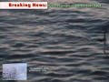 sea monster in english bay caught on tape