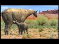 Walking With Beasts: A Mother\