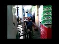 el gato piruca