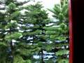 Hong Kong Disneyland Railroad Ride - Fantasyland to Mainstreet