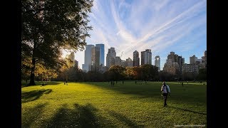 The famous Central Park of New York