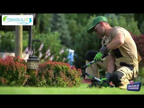 Vignette d'aperçu de la vidéo