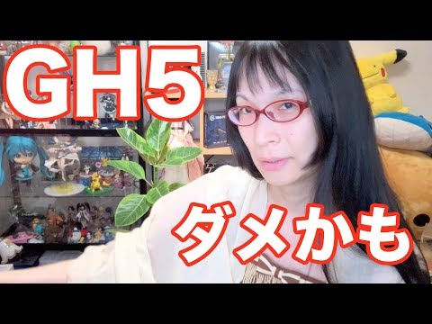動画