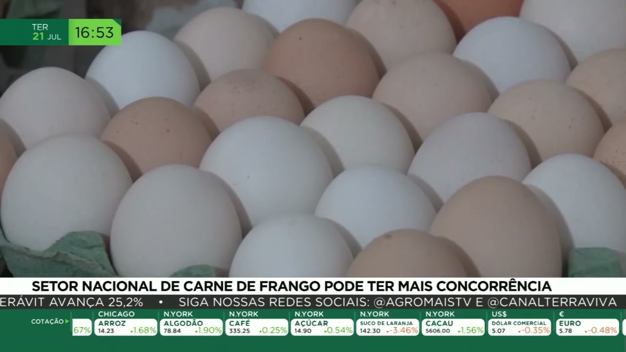 Setor nacional de carne de frango pode ter mais concorrência
