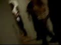 Dulce pegando na minha m��o e falando TE AMO - 10/05 SP