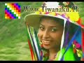 Takiy Tinku Cholita Marina