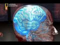 Anatomia Sztuk Walki cz.2 Anatomia Sztuk Walki cz.2