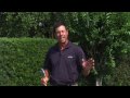 Golf Tips : Golf Tips for Better Iron Shots & Control