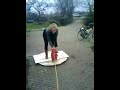 Hoverboard Hoverboard