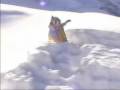 Balme 1999