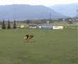 videos de Doris Badener Land