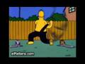 Homer VS culebrones de verano