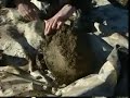 this video depicts the discovery and exhumation of three german ss soldiers by a farmer in burcy, normandy. the bodies were exhumed on february 8th 2008, along with a helmet, some belt buckles and other military equipments. unfortunately no dog tags were found, so the bodies will almost certainly remain unidentified. however, a medical doctor present at the exhumation said that by looking at the condition of the teeth, it appeared that one of the men was 