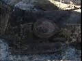 this video depicts the discovery and exhumation of three german ss soldiers by a farmer in burcy, normandy. the bodies were exhumed on february 8th 2008, along with a helmet, some belt buckles and other military equipments. unfortunately no dog tags were found, so the bodies will almost certainly remain unidentified. however, a medical doctor present at the exhumation said that by looking at the condition of the teeth, it appeared that one of the men was 